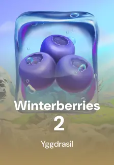 Winterberries 2